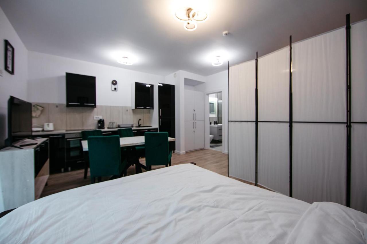 L&V Family Studio Apartman Sinaia Kültér fotó