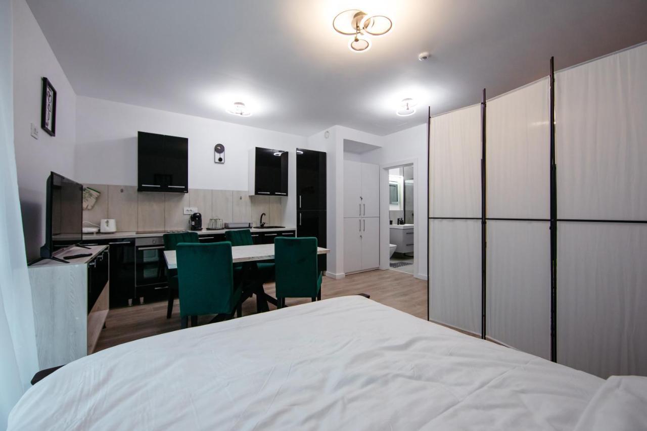 L&V Family Studio Apartman Sinaia Kültér fotó