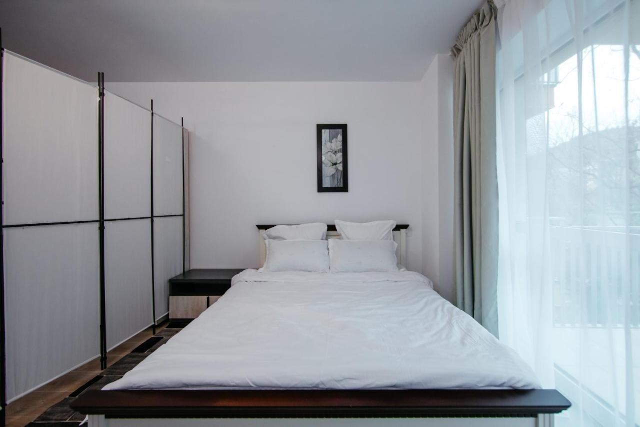 L&V Family Studio Apartman Sinaia Kültér fotó