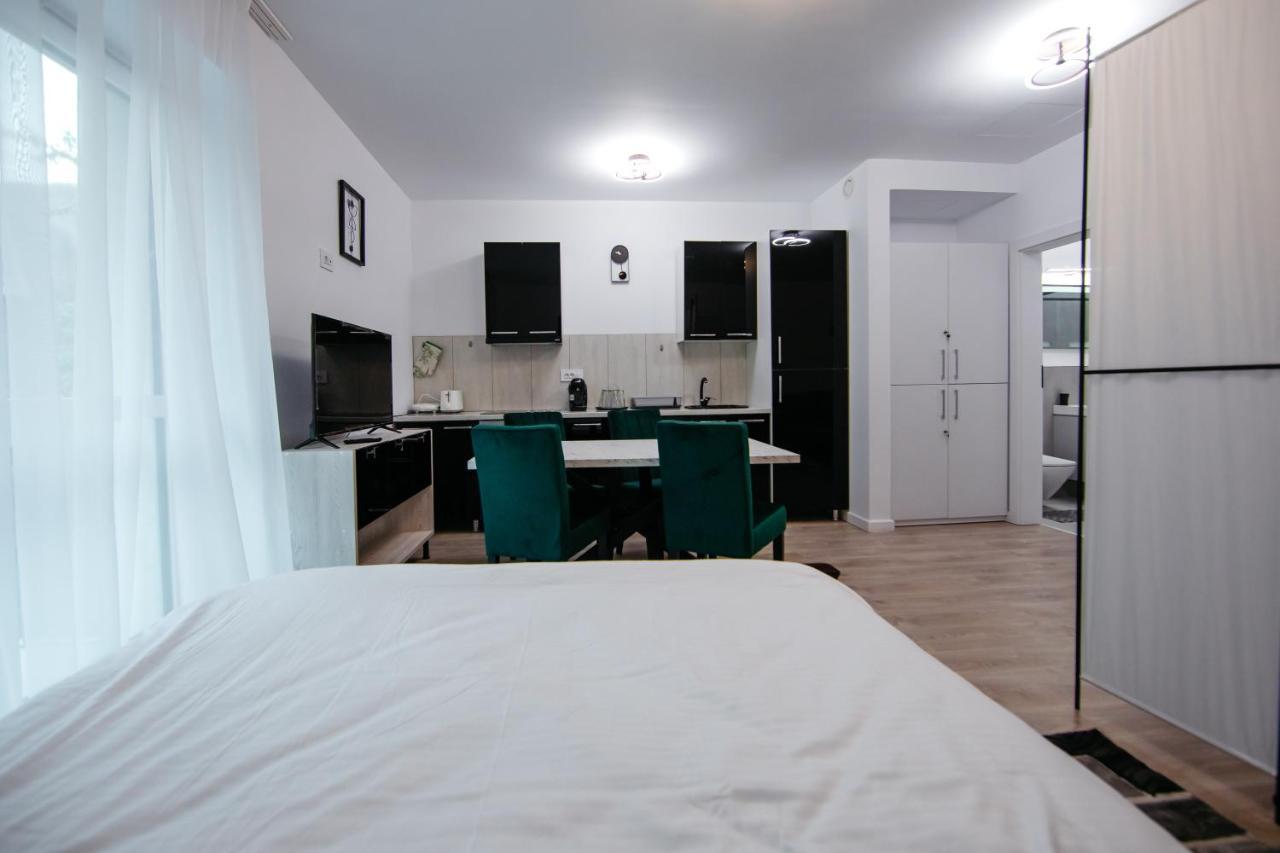 L&V Family Studio Apartman Sinaia Kültér fotó